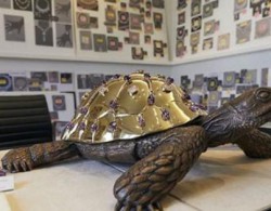 法国奥赛博物馆展出海龟主题雕塑作品，彩色宝石间点缀